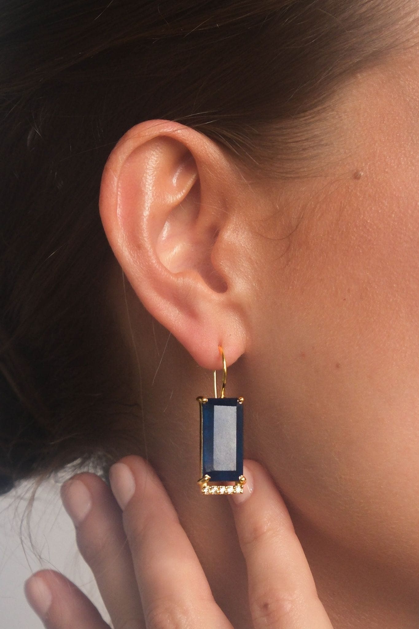 Poise Drop Earrings - Blue Black Jade